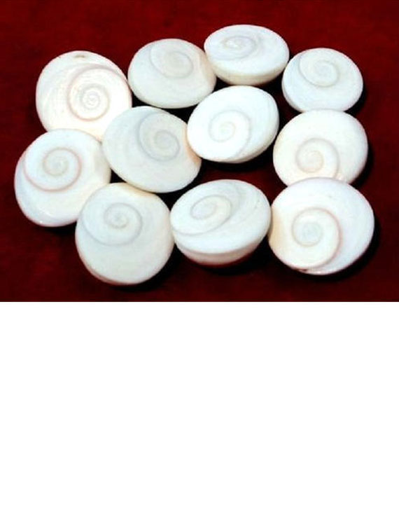 Gomti Chakra for Godddess Lakshmi (11 pcs ) for Pooja